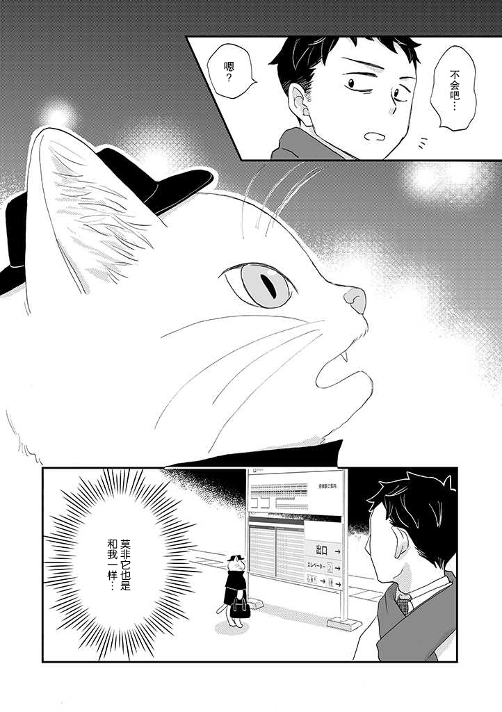 西北偏北，随猫而去漫画,第2话2图