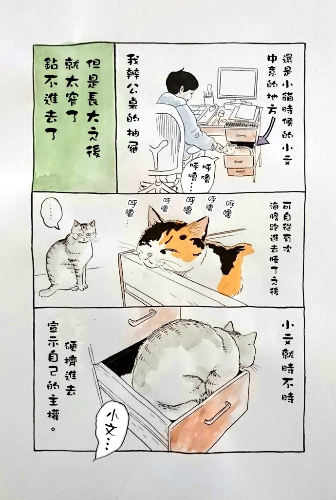 我曾经巨讨厌猫来的漫画,第1话2图