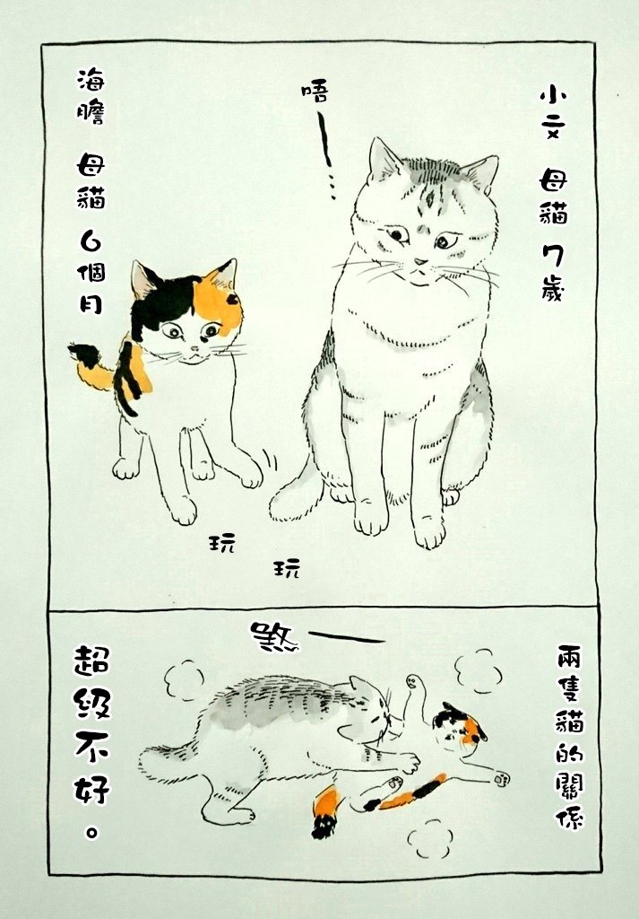 我曾经巨讨厌猫来的漫画,第1话4图