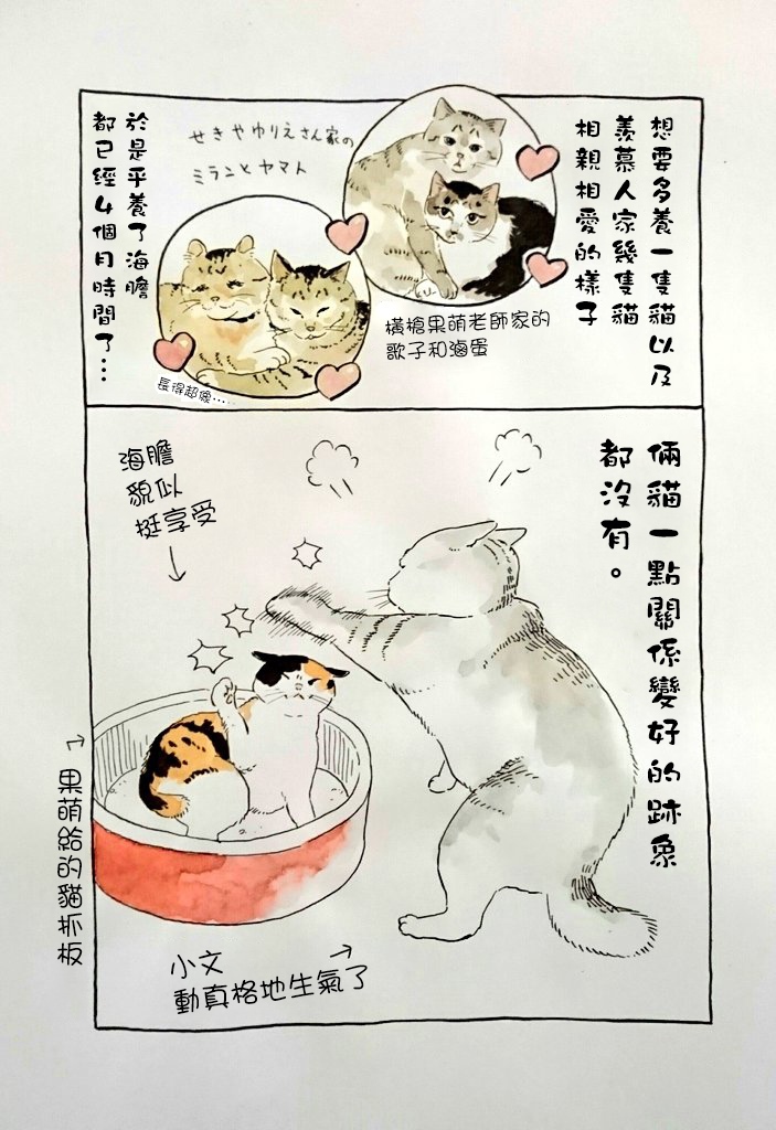 我曾经巨讨厌猫来的漫画,第1话1图