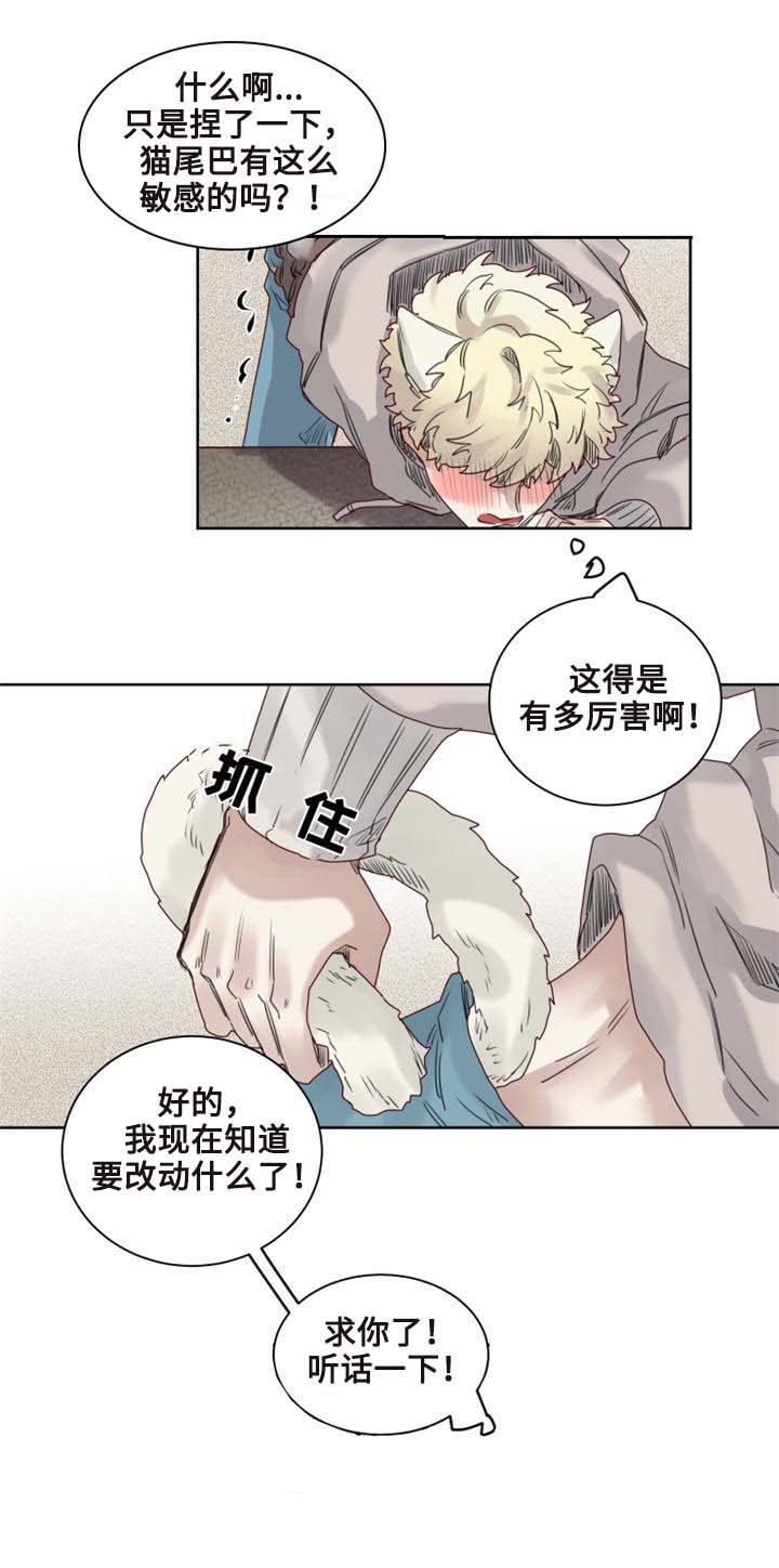 魔法师皮塔漫画,第9章：猫咪套装4图