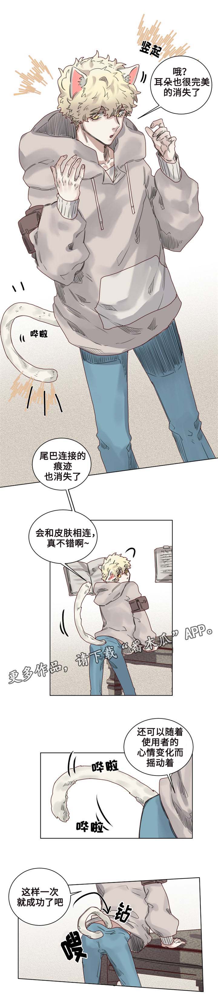 魔法师皮塔漫画,第9章：猫咪套装2图