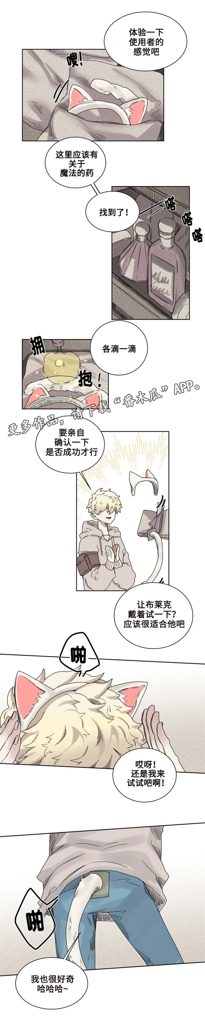 魔法师皮塔漫画,第9章：猫咪套装1图