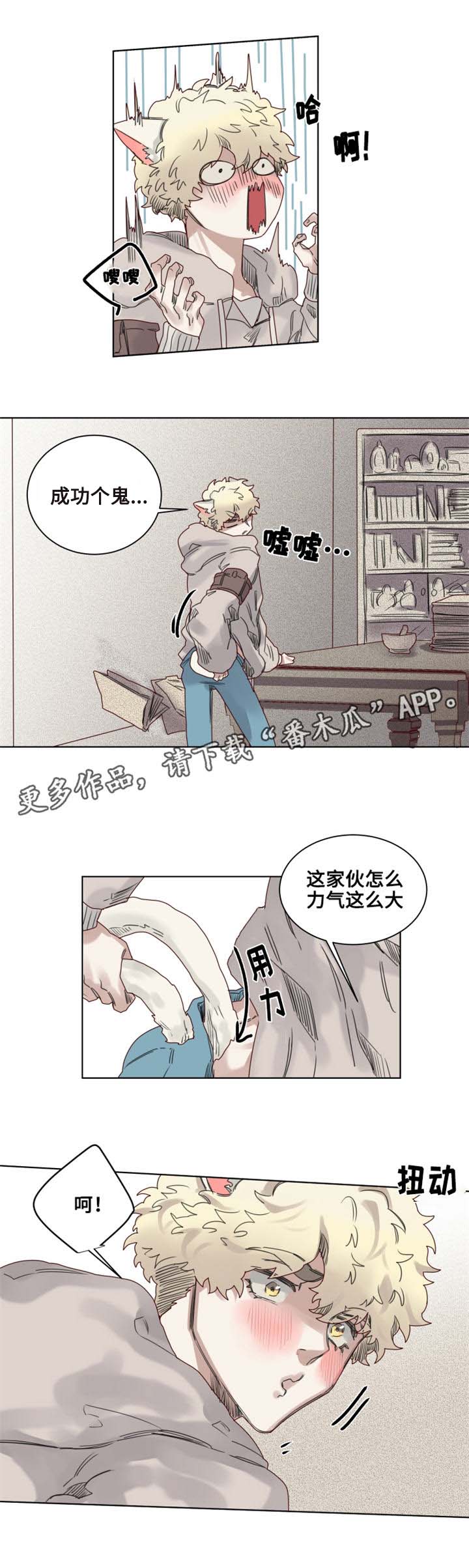 魔法师皮塔漫画,第9章：猫咪套装3图