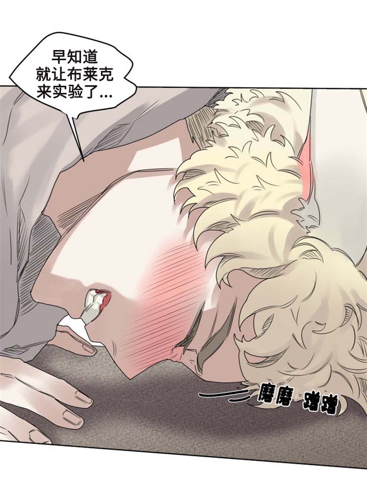 魔法师皮塔漫画,第9章：猫咪套装5图