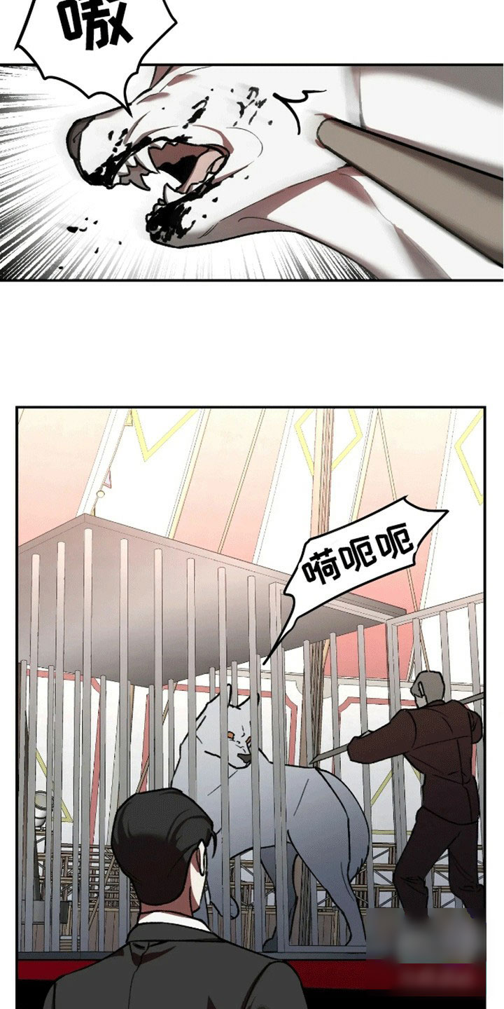 笼中白狼漫画,第3话3图