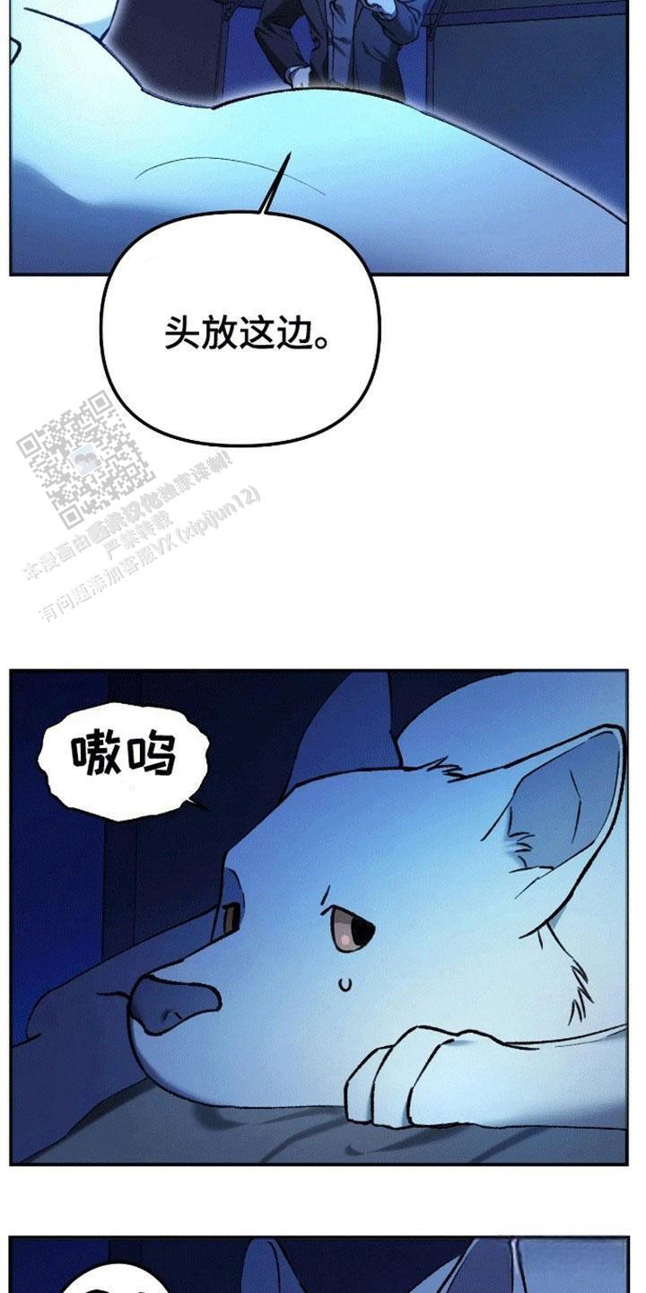 笼中白狼漫画,第5话5图