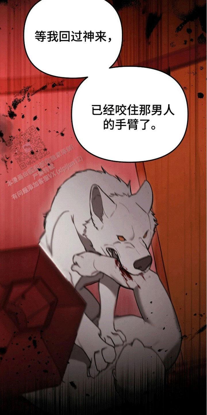 笼中白狼漫画,第10话2图