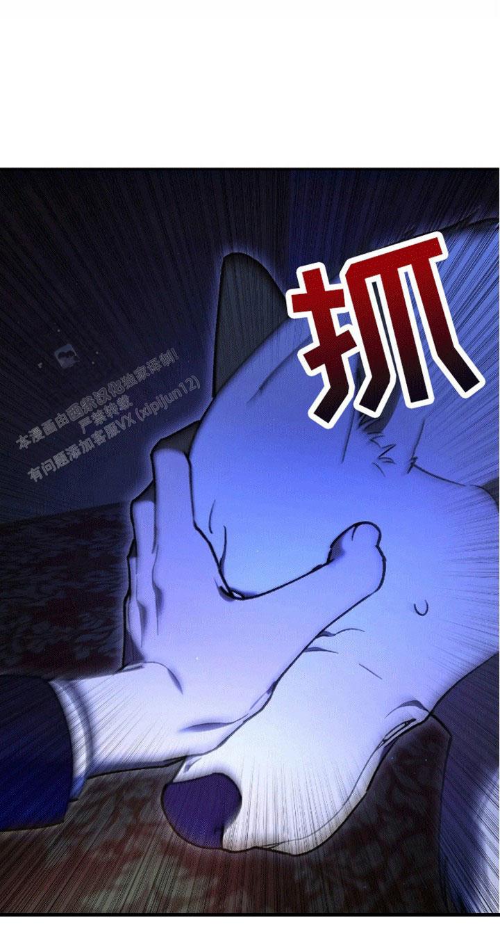 笼中白狼漫画,第5话1图