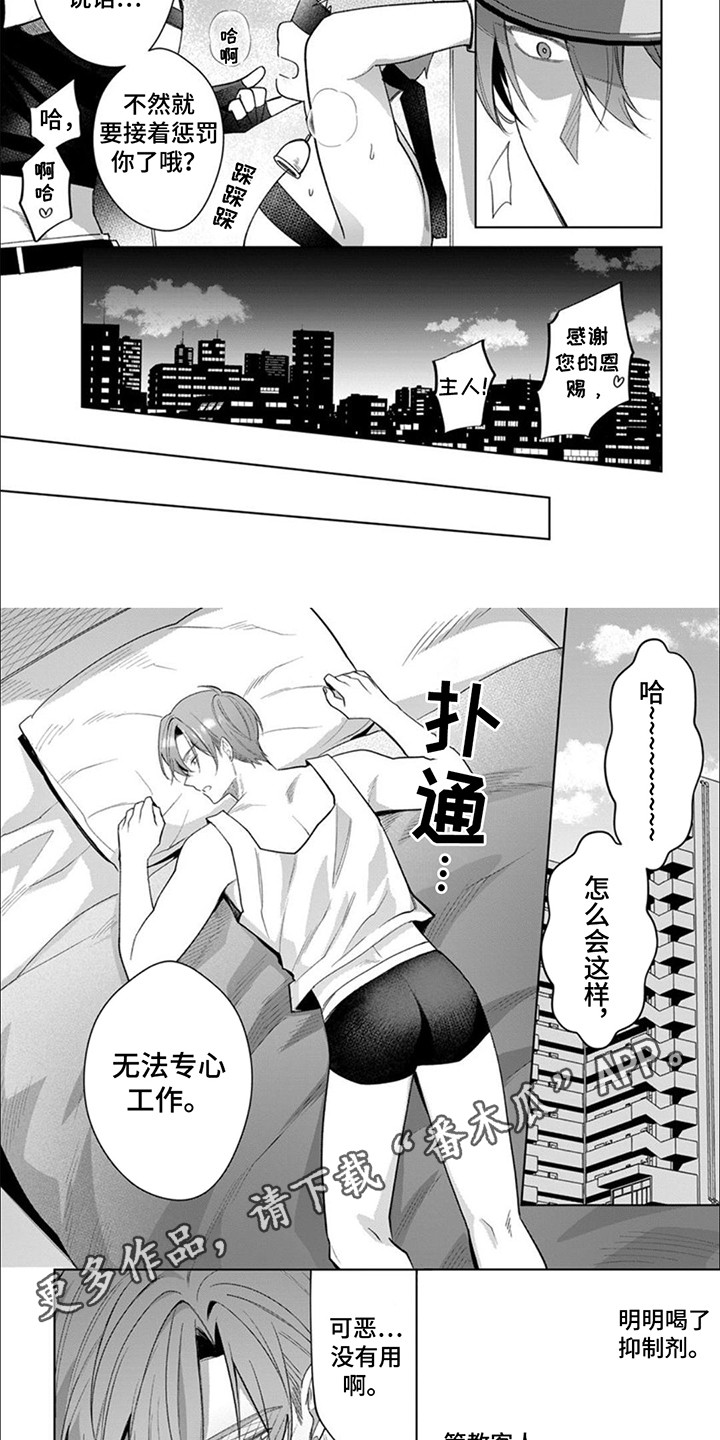 只对你臣服漫画下拉式223话漫画,第10话2图