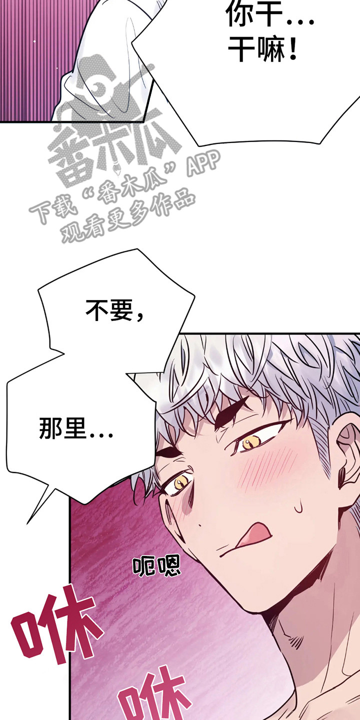 老虎观察日志漫画,第6话5图