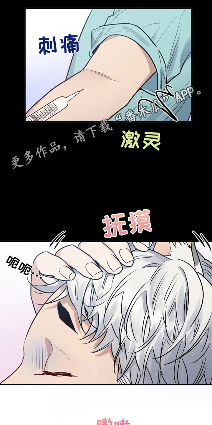 老虎观察日志漫画,第2话5图