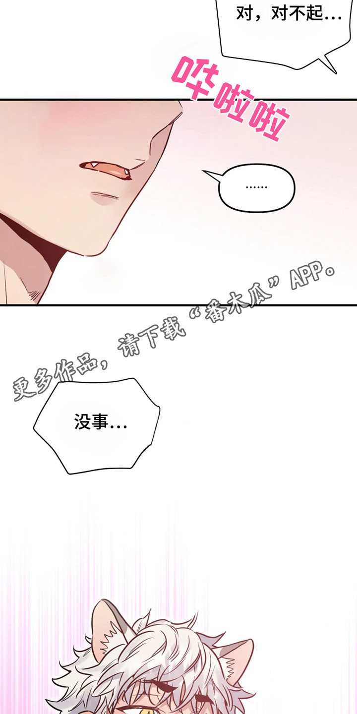 老虎观察日志漫画,第1话5图