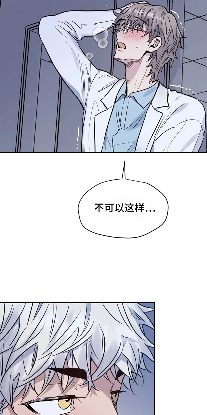 老虎观察日志漫画,第1话3图