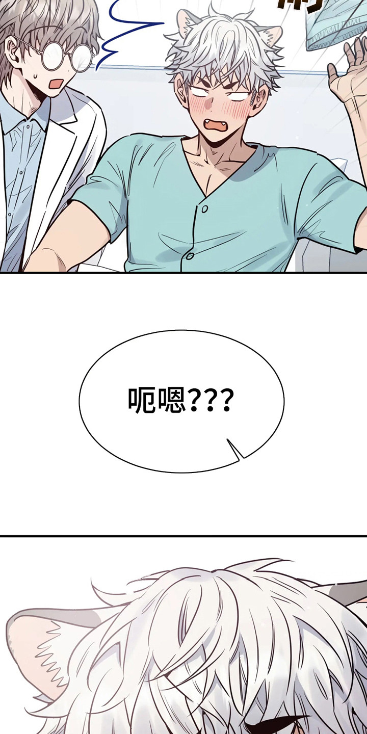 老虎观察日志漫画,第3话3图