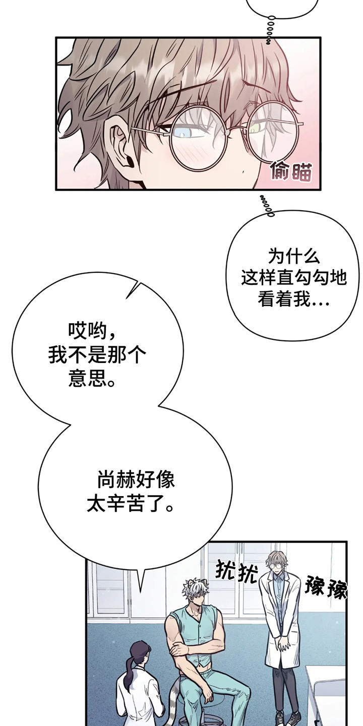 老虎观察日志漫画,第5话2图