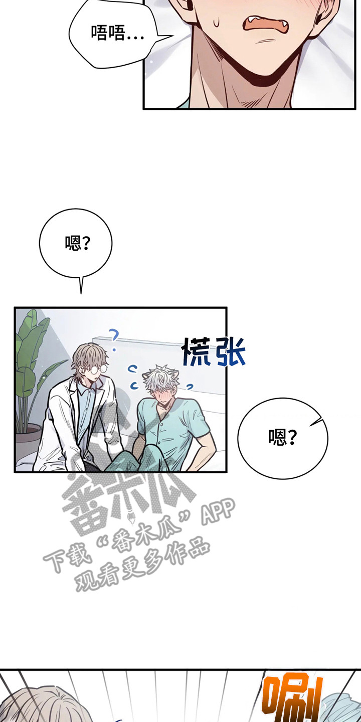 老虎观察日志漫画,第3话2图