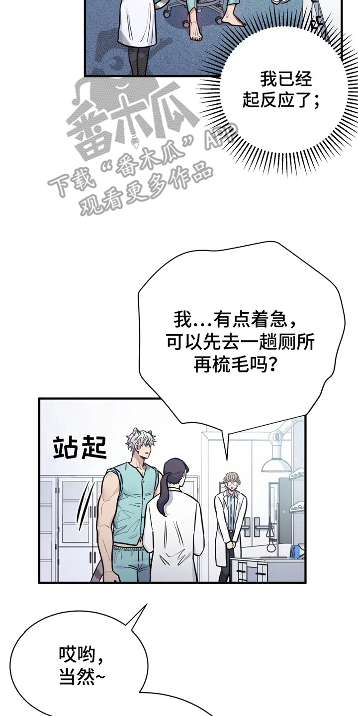 老虎观察日志漫画,第5话3图