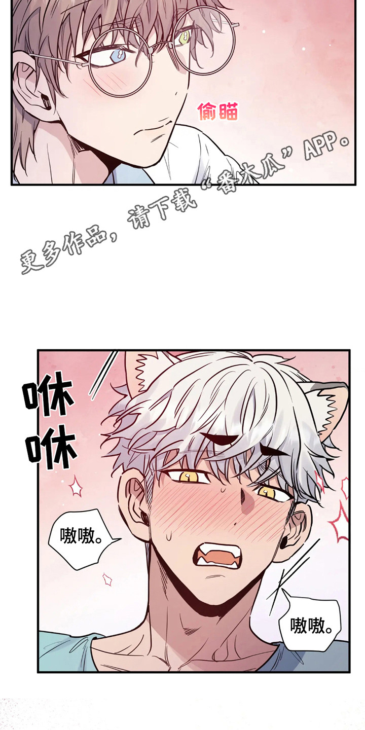 老虎观察日志漫画,第4话5图