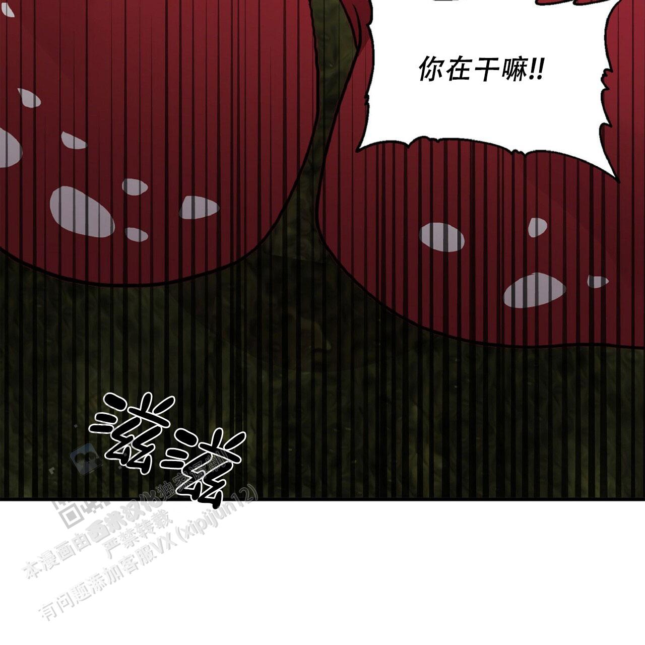 马铃薯大王简介漫画,第10话3图