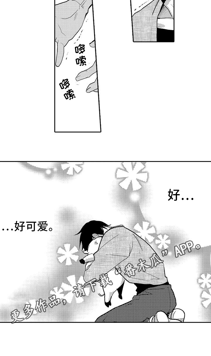 可爱的新娘怎么形容漫画,第4话3图