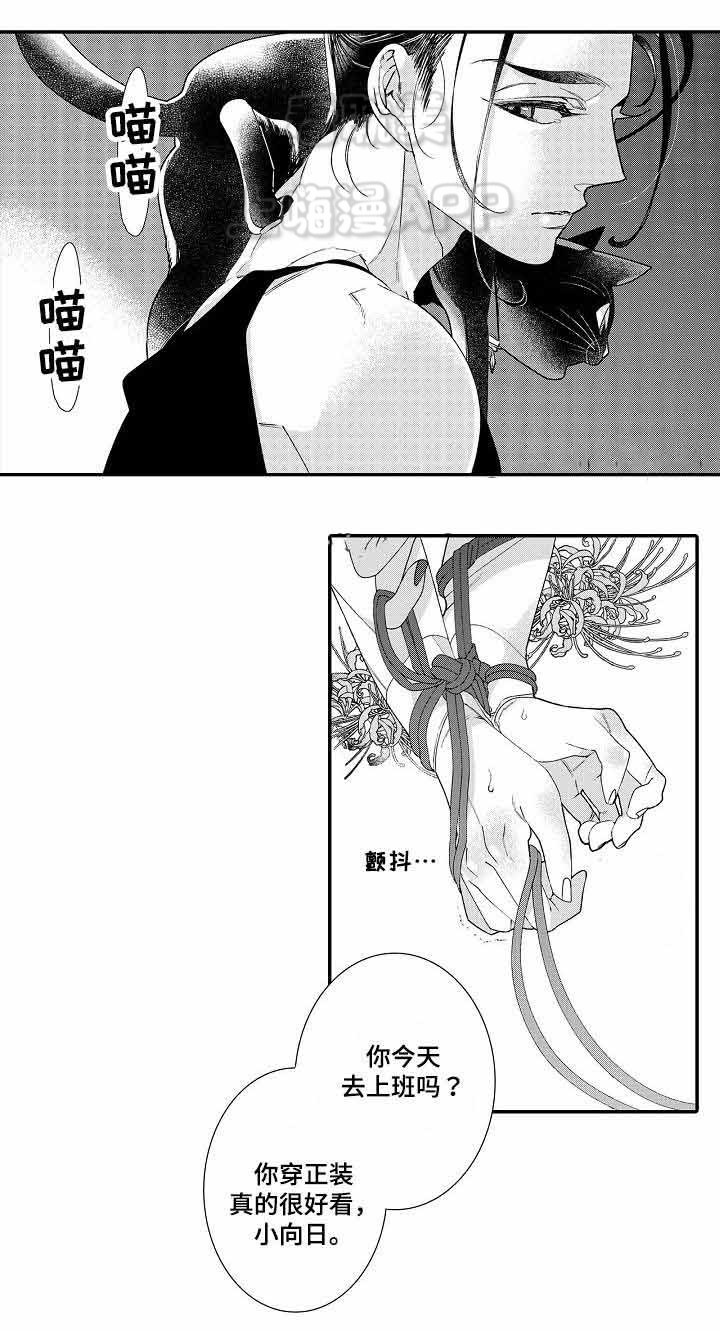 逃脱牢笼的鸟漫画,第6话5图