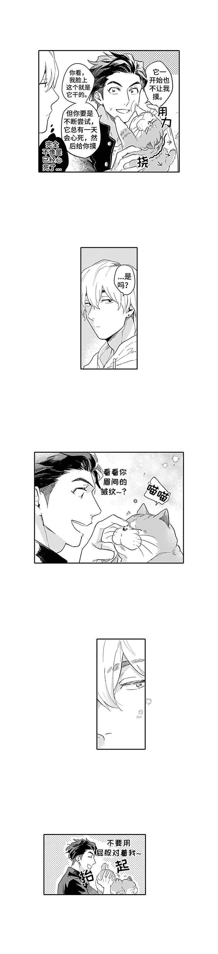 敌营18年电视连续剧漫画,第2章：热情4图