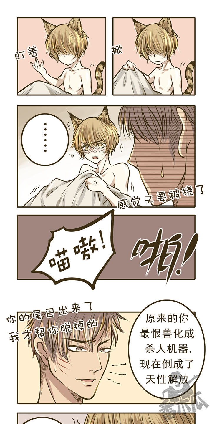 绅士与山猫漫画,第10话5图