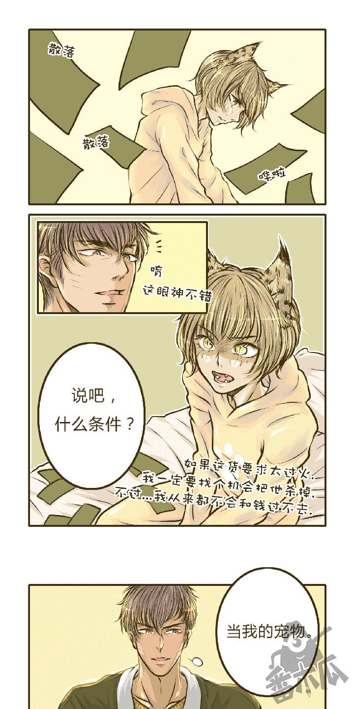 绅士与山猫漫画,第2话5图