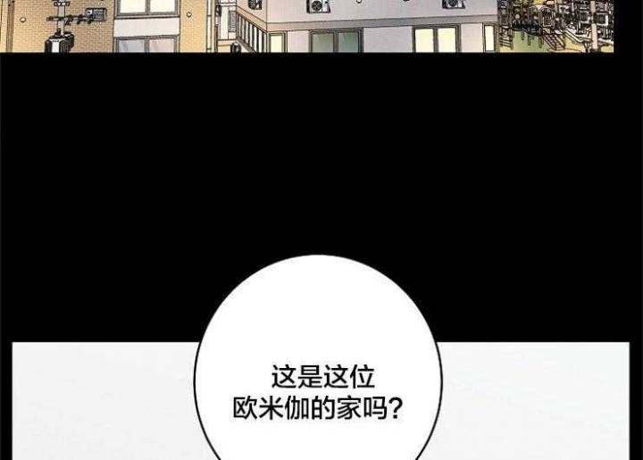 炒过的豆子会发芽吗漫画,第2话3图