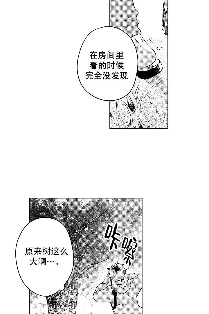 让风拂过你的心漫画,第2话2图