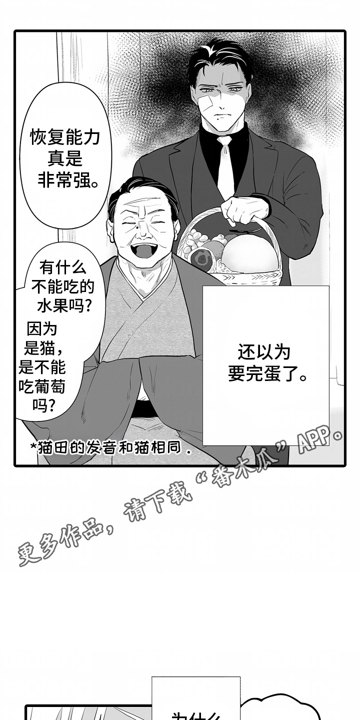 坠入迷失的黑暗漫画,第3话5图