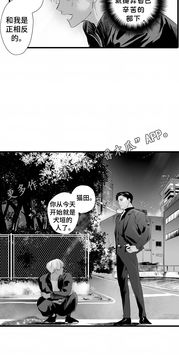 坠入迷失的黑暗漫画,第10话5图