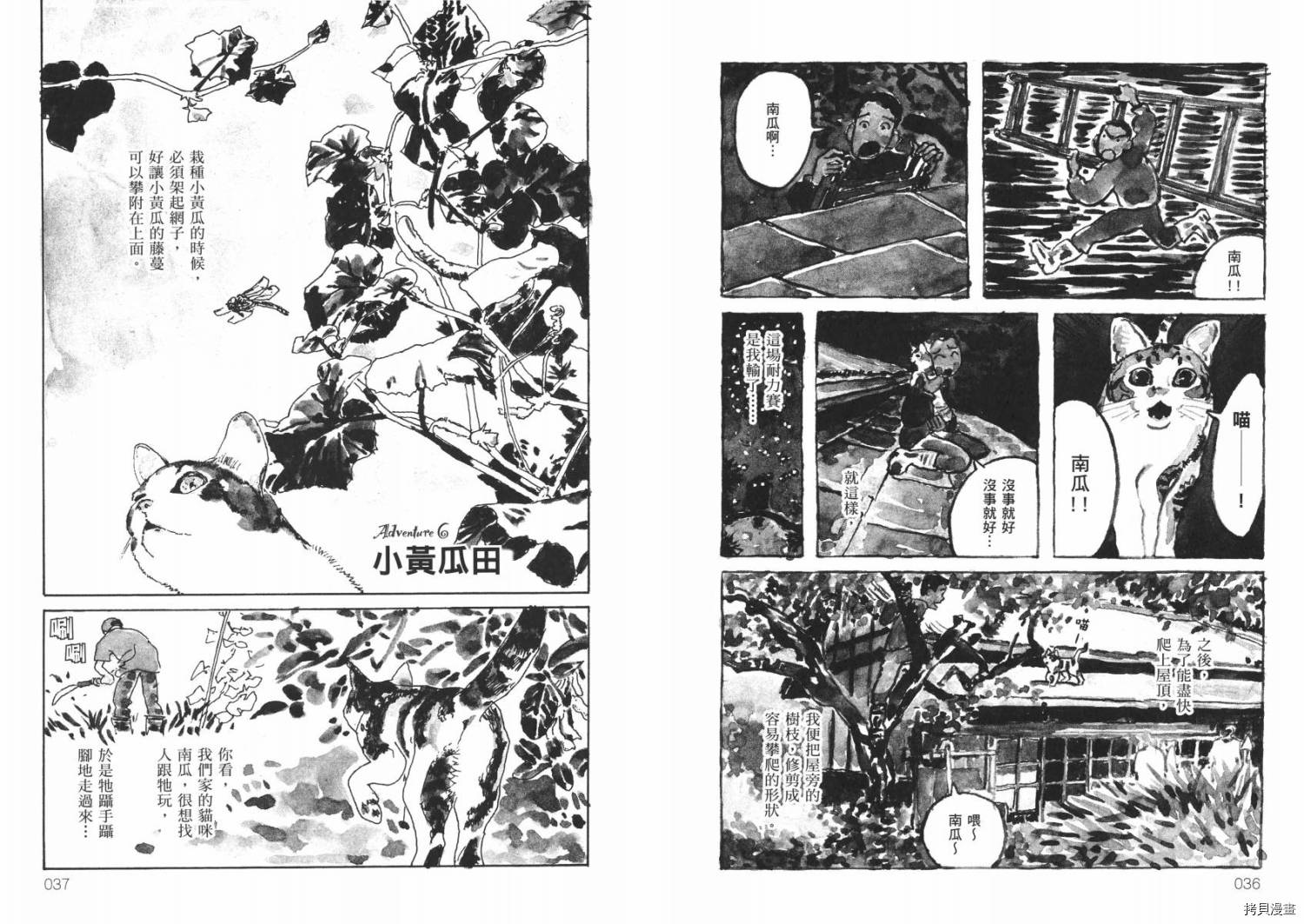 南瓜与我的野放生活漫画,第1卷5图