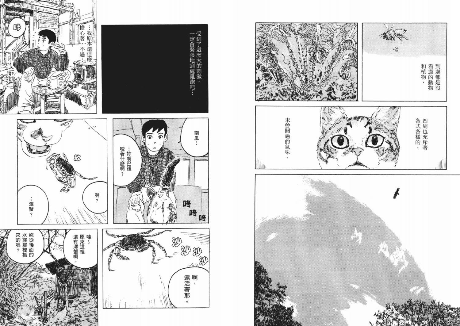 南瓜与我的野放生活漫画,第1卷4图