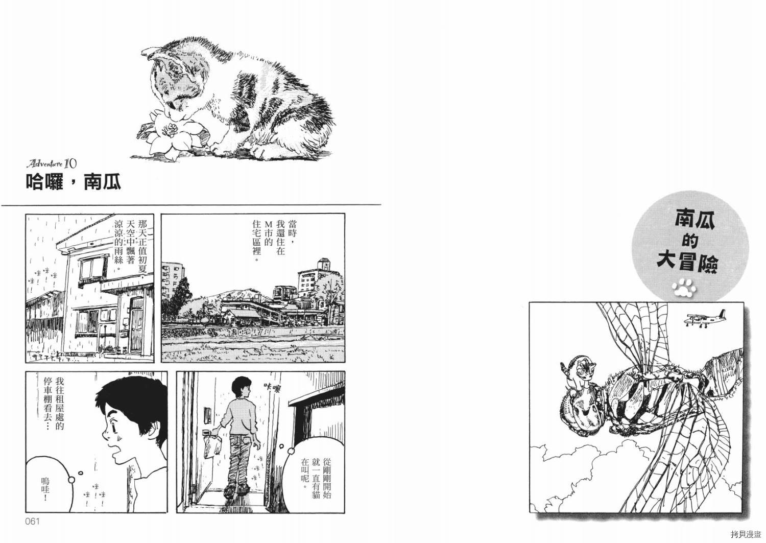 南瓜与我的野放生活漫画,第1卷2图