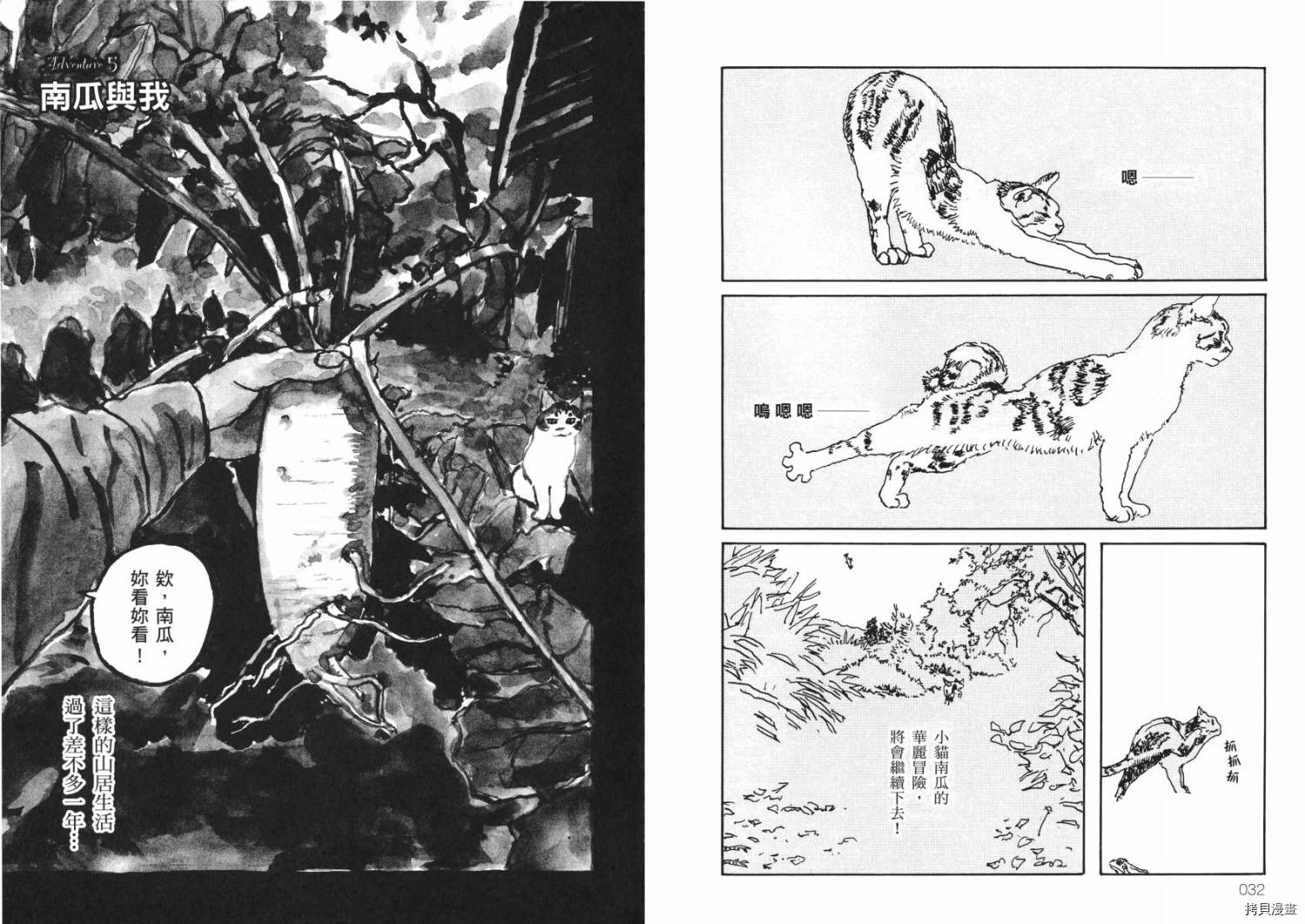 南瓜与我的野放生活漫画,第1卷3图