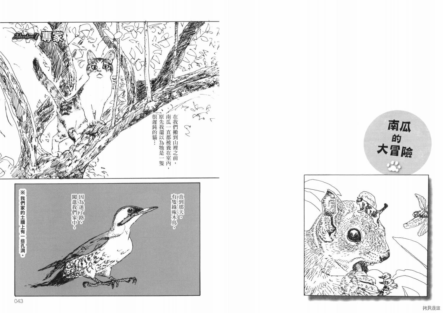 南瓜与我的野放生活漫画,第1卷3图