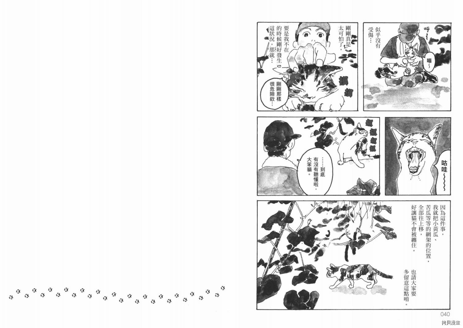 南瓜与我的野放生活漫画,第1卷2图