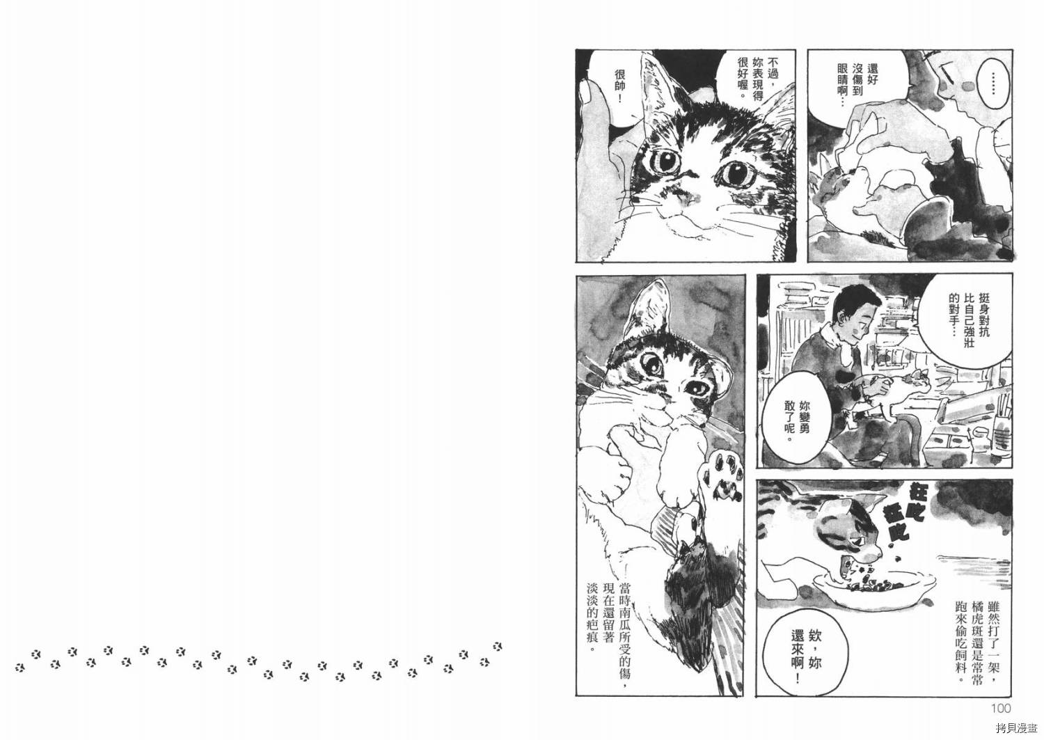 南瓜与我的野放生活漫画,第1卷2图