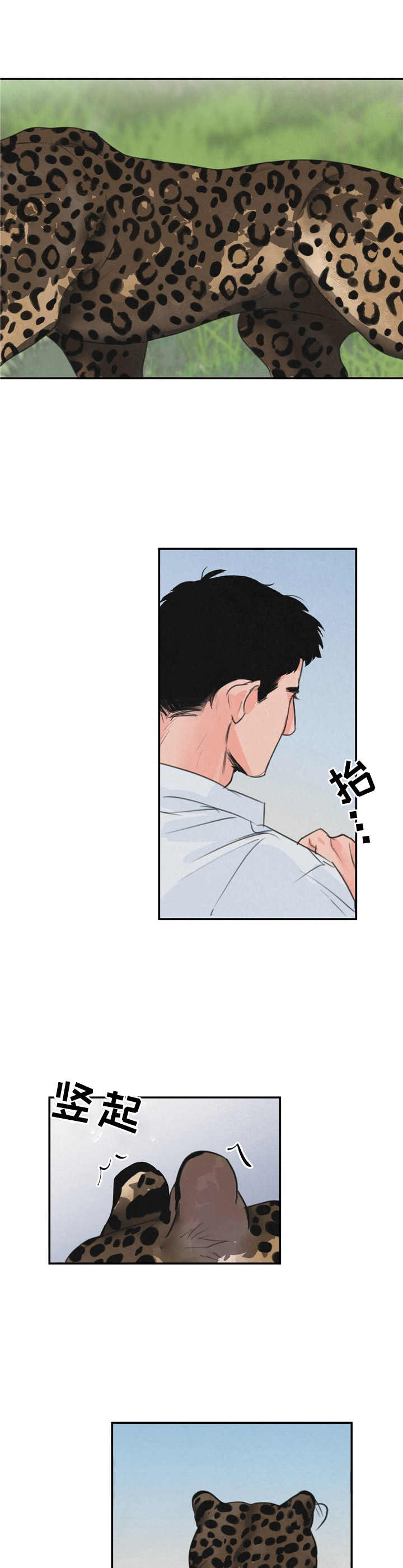 野性之美漫画,第1章：摄影师1图