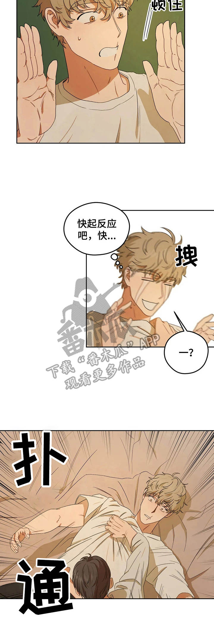 区域是什么意思漫画,第4章：老实躺着5图