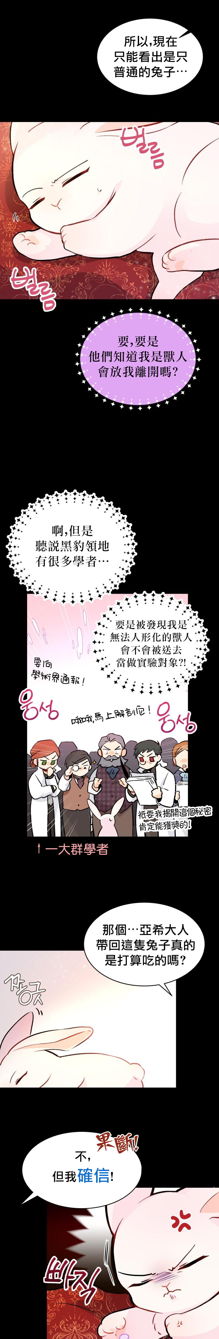 兔子与黑豹的共生关系漫画,第2话5图