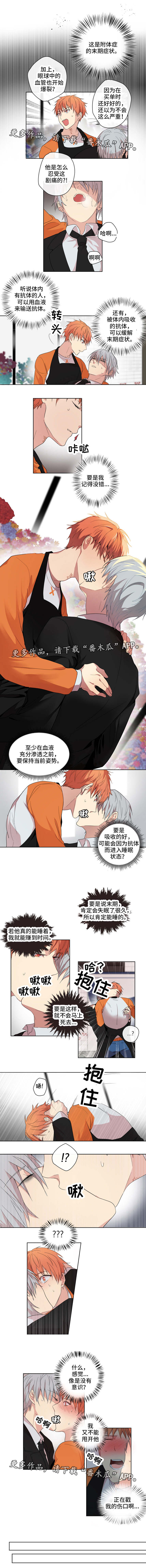 我的解药漫画,第3章：抗体3图