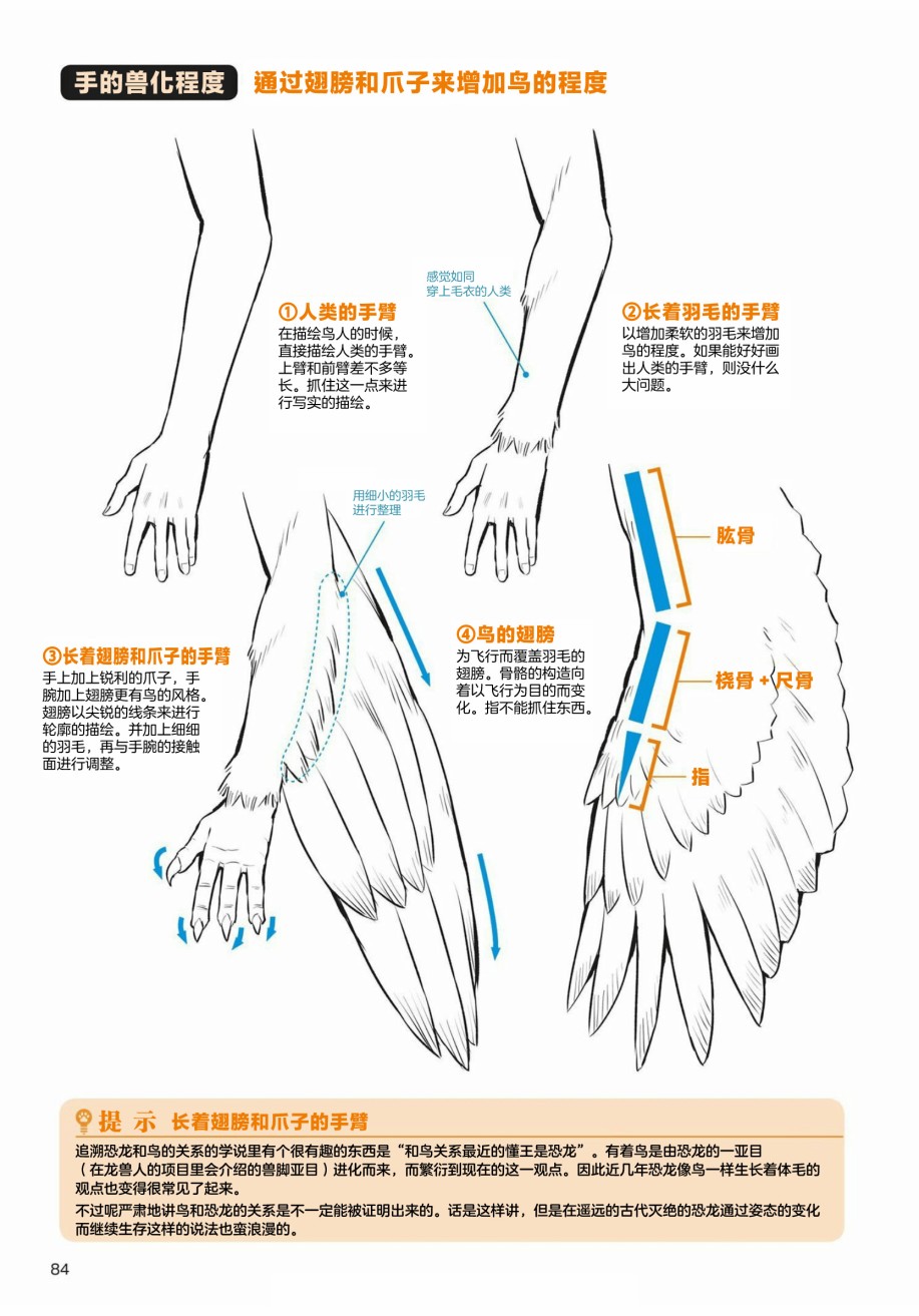 第3.1话天空生物鸟兽人的画法2