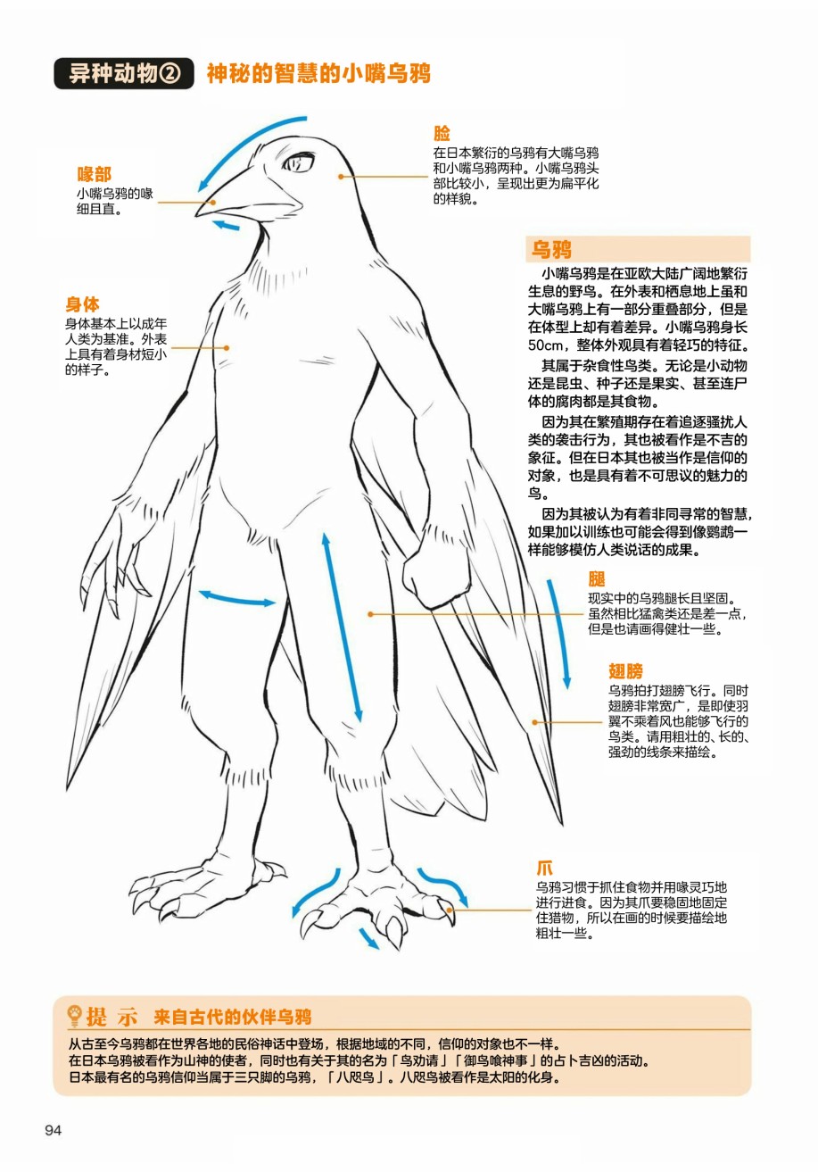 第3.1话天空生物鸟兽人的画法2