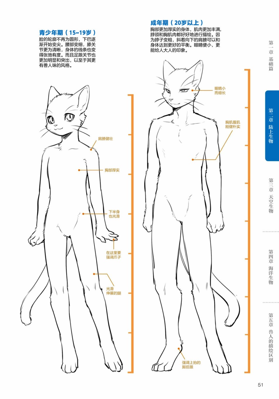 第2.2话陆上生物猫兽人的描绘方法1