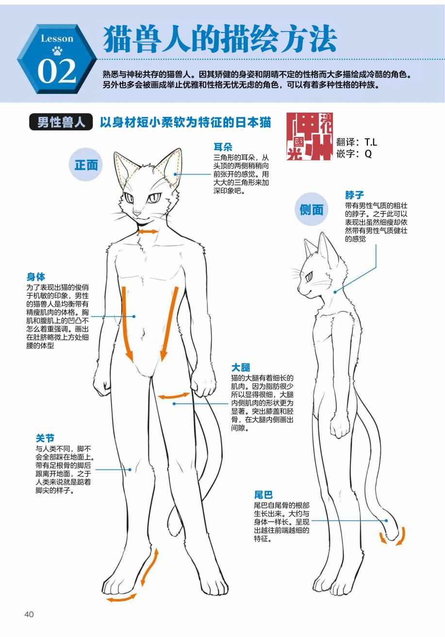 第2.2话陆上生物猫兽人的描绘方法0