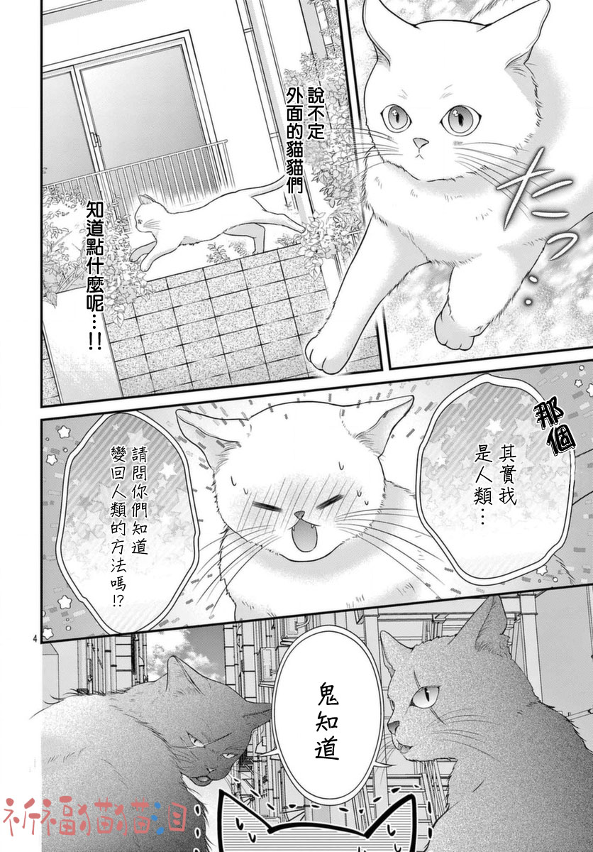 快来宠我嘛！我可是猫猫漫画,第5话4图