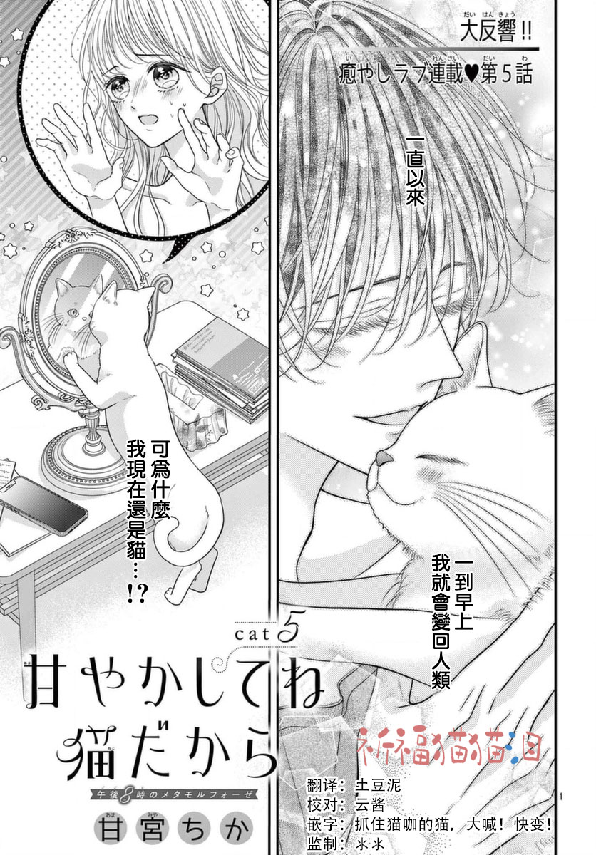 快来宠我嘛！我可是猫猫漫画,第5话1图